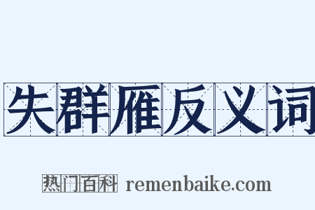 失群雁反义词是什么意思的图片